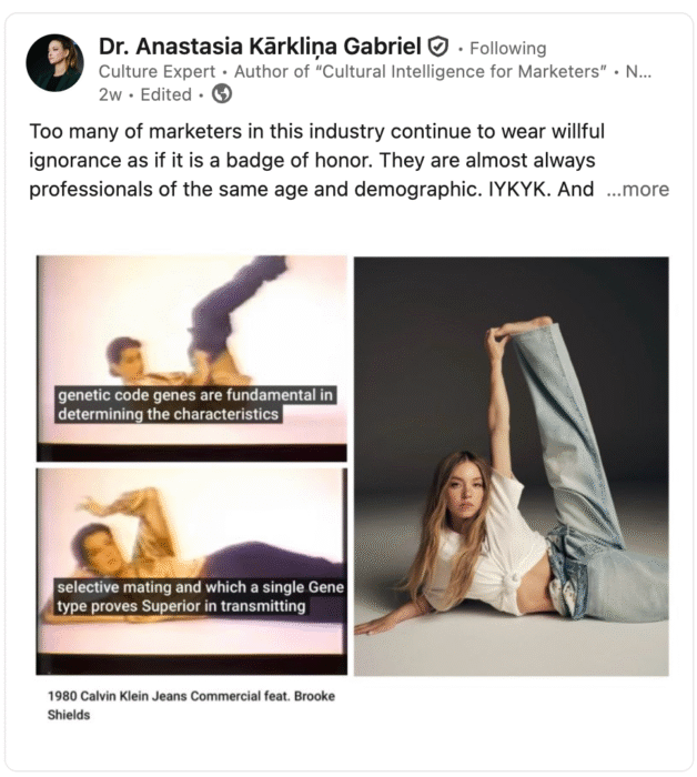 Screenshot of Dr. Anastasia Gabriel's LinkedIn post responding to American Eagle ad.